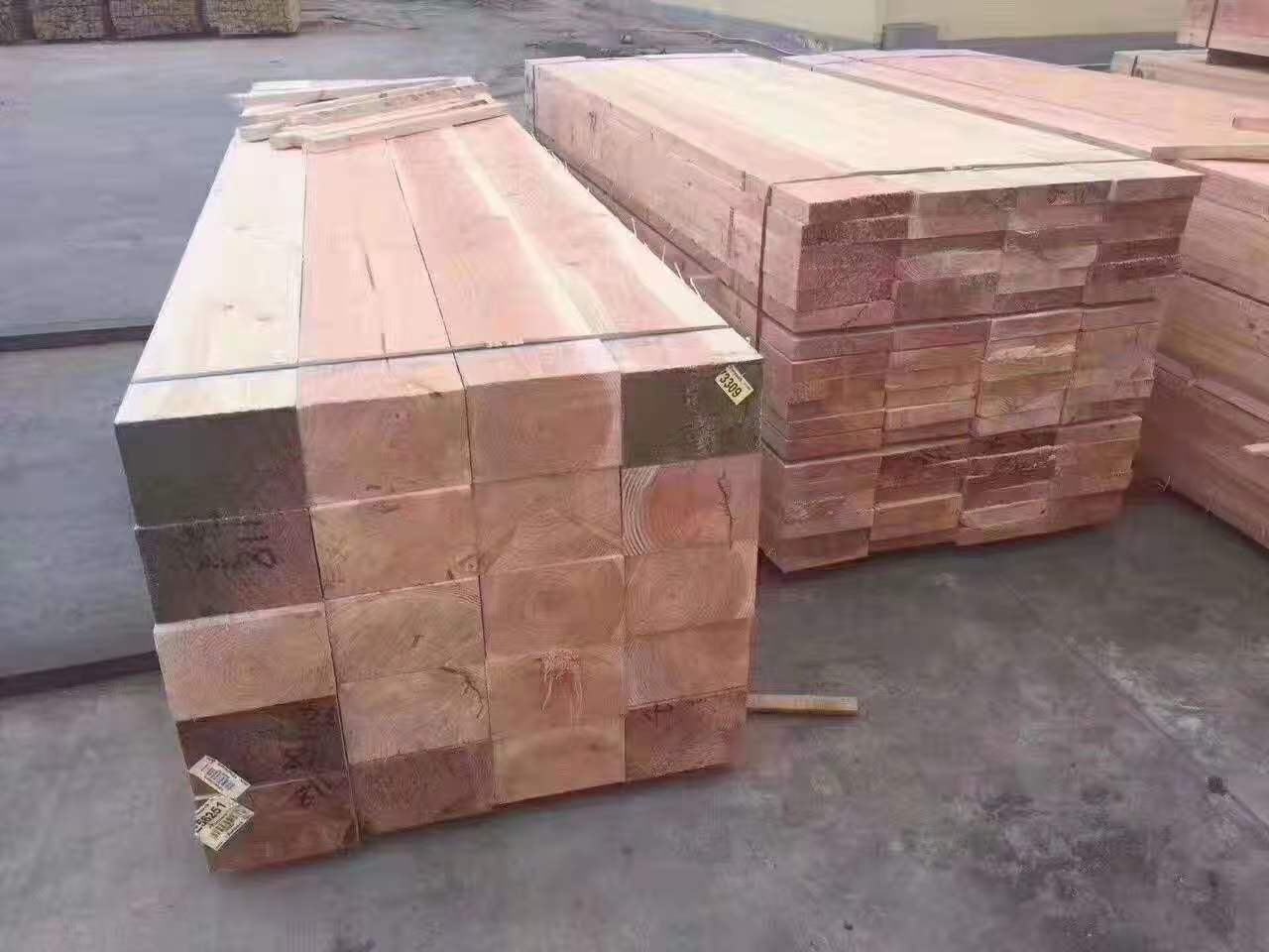 狐狸视频色版APP常识
