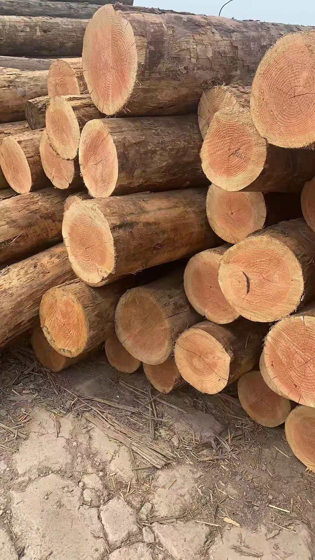 狐狸视频色版APP狐狸视频污污版下载尺寸有哪些